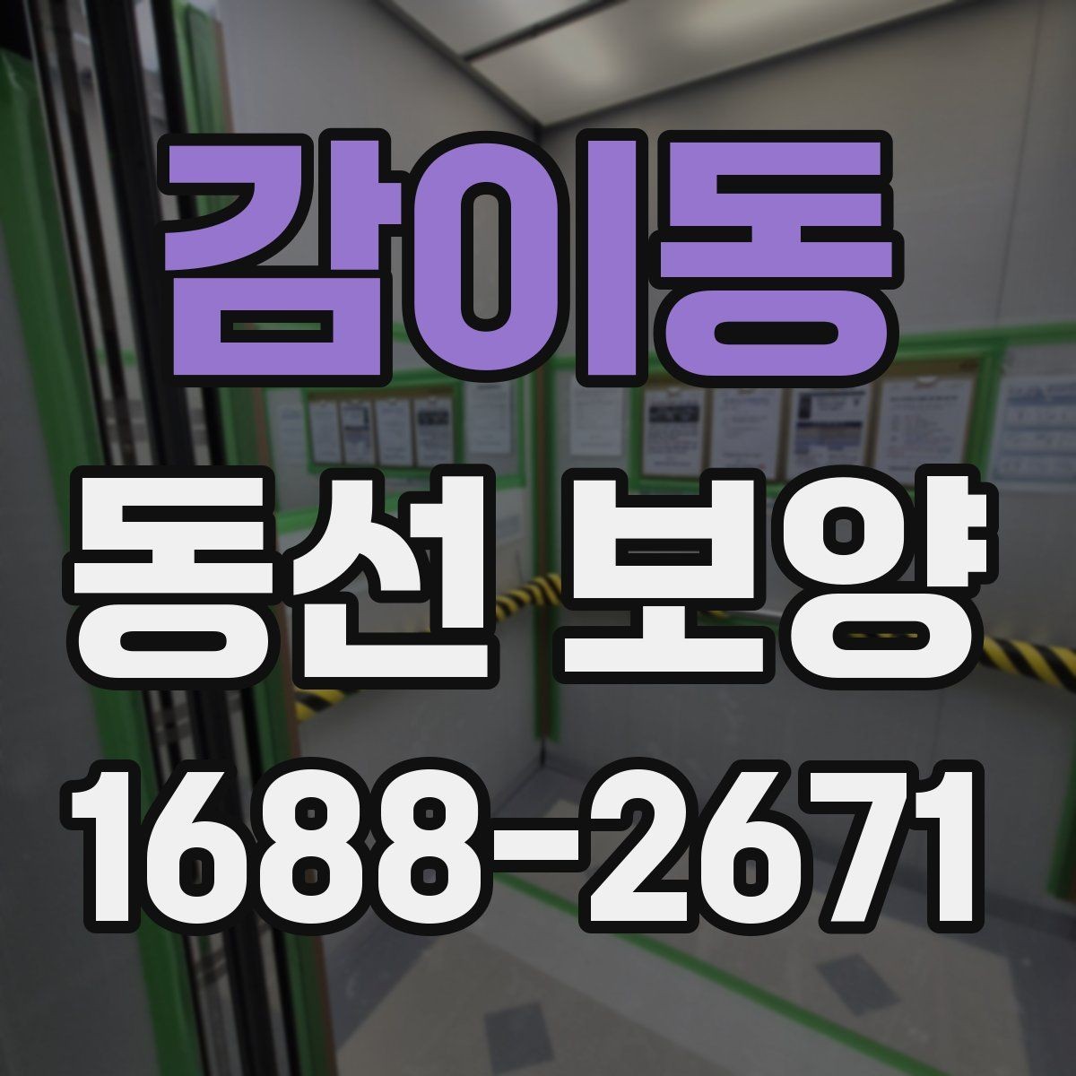감이동 동선 보양 공정 계획을 세울 때 참고할 점