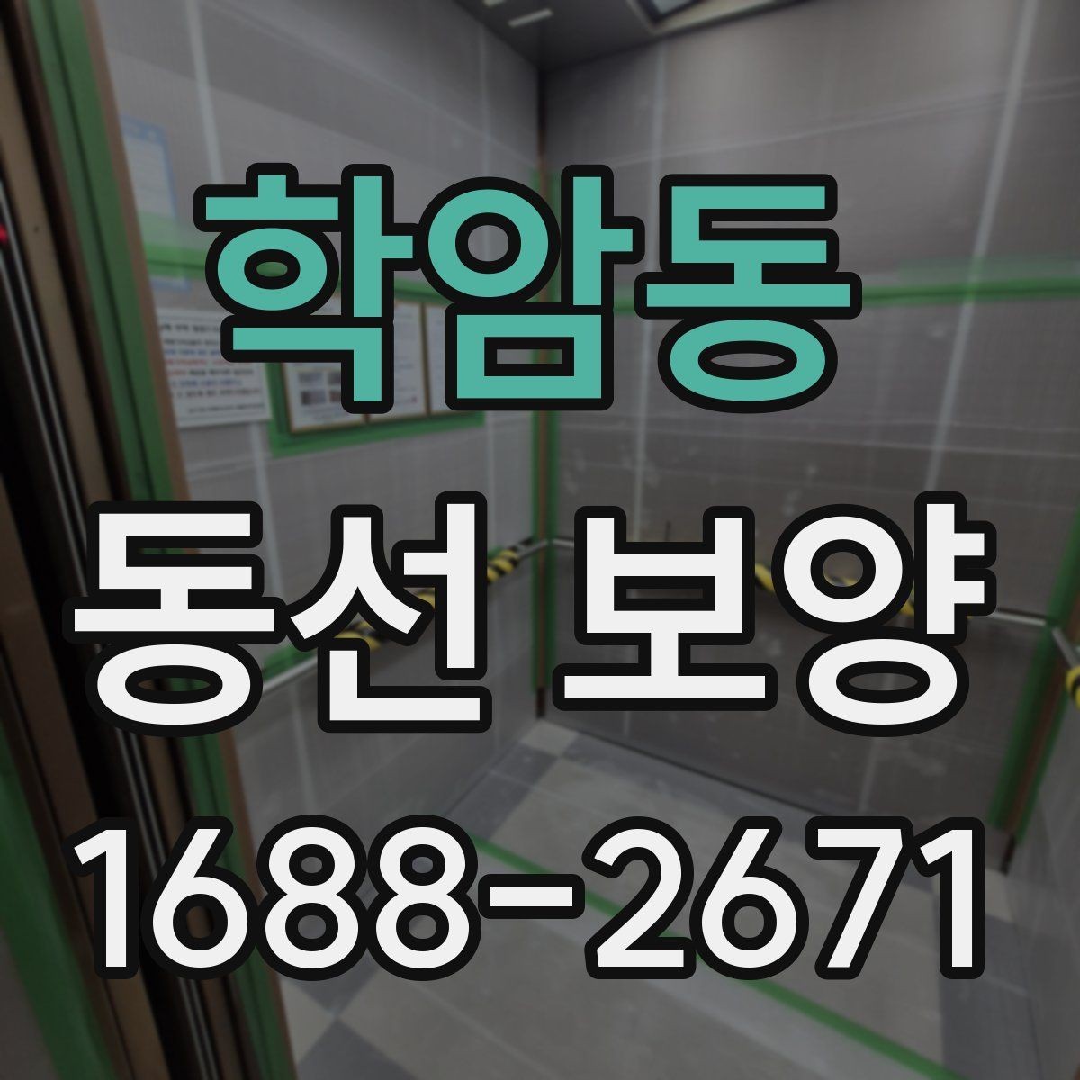 학암동 동선 보양 비용 산정에 영향을 주는 요소