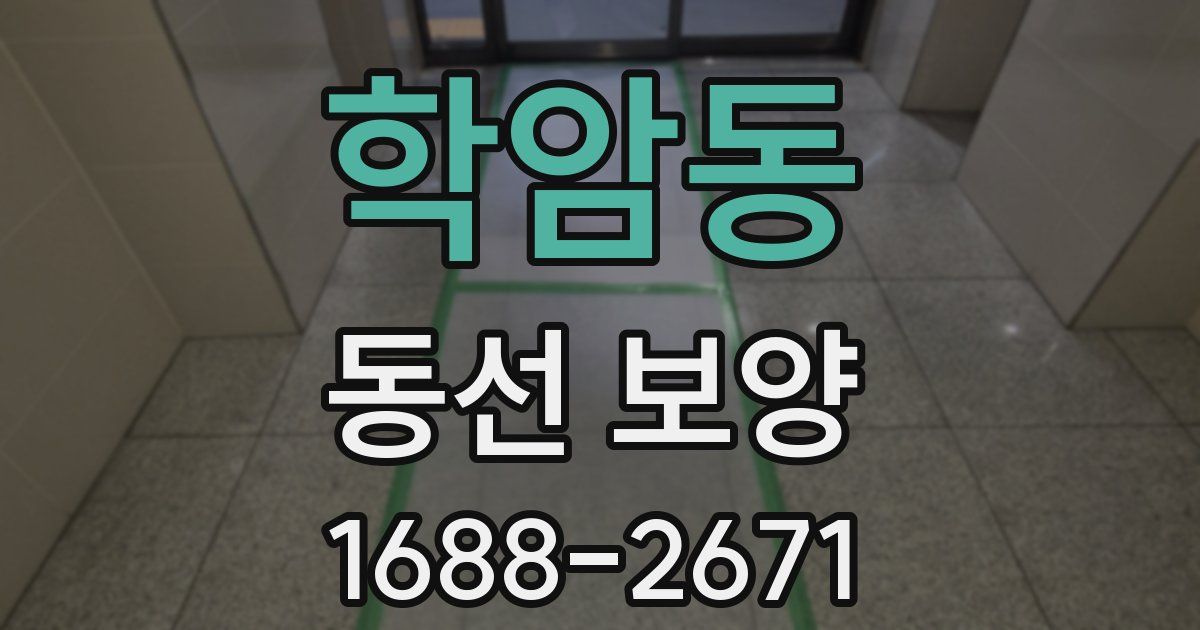 학암동 동선 보양
