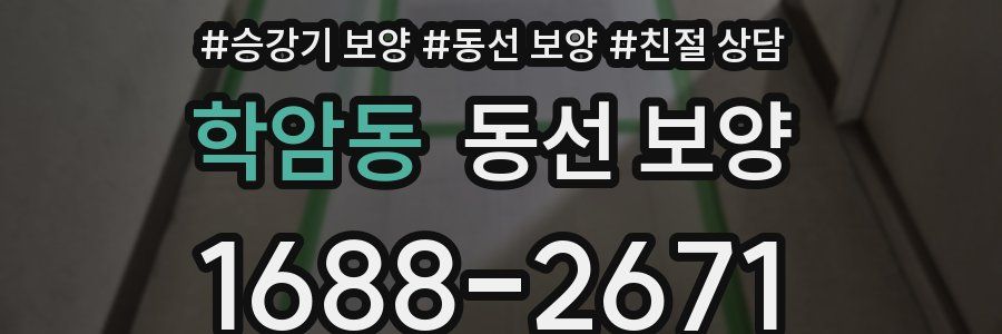 학암동 동선 보양