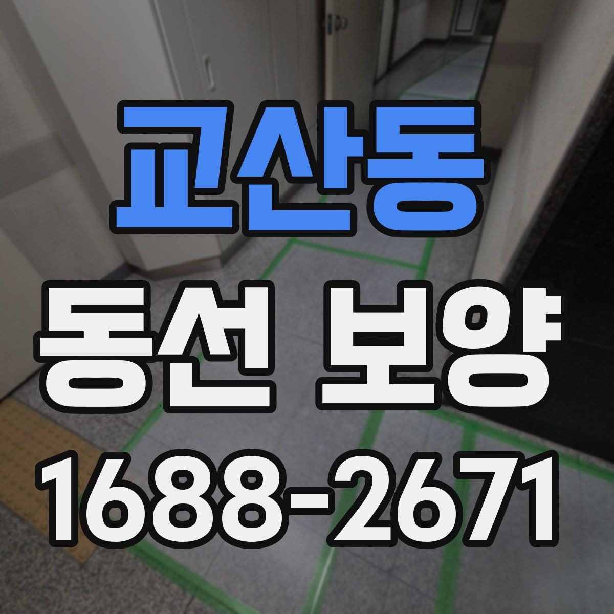 교산동 동선 보양 방법을 상황별로 나누어 보기