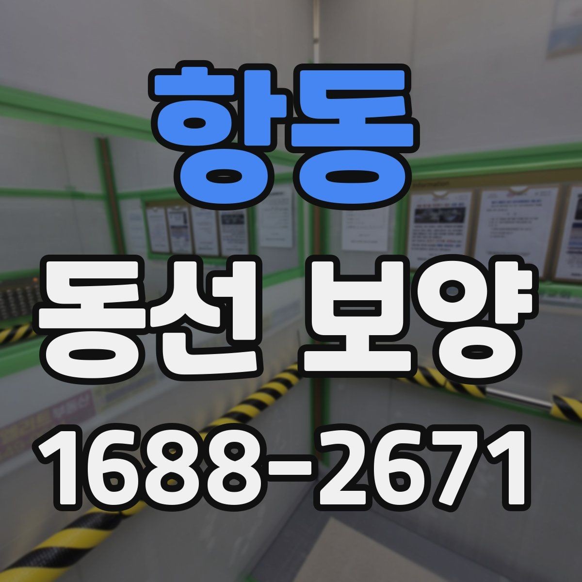 항동 동선 보양 공사 전에 미리 확인할 부분