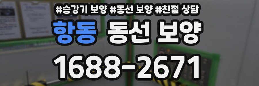 항동 동선 보양