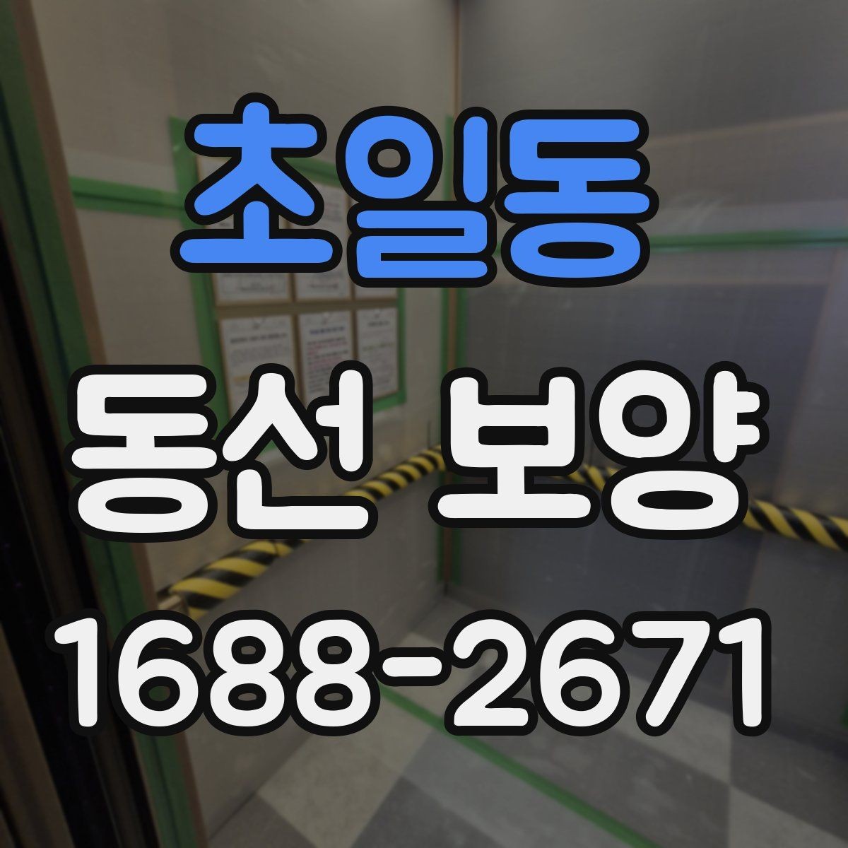 초일동 동선 보양 작업을 진행할 때 주의할 점
