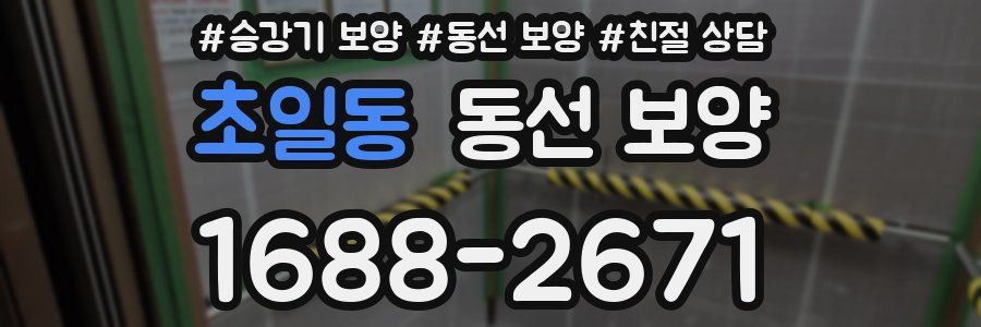 초일동 동선 보양