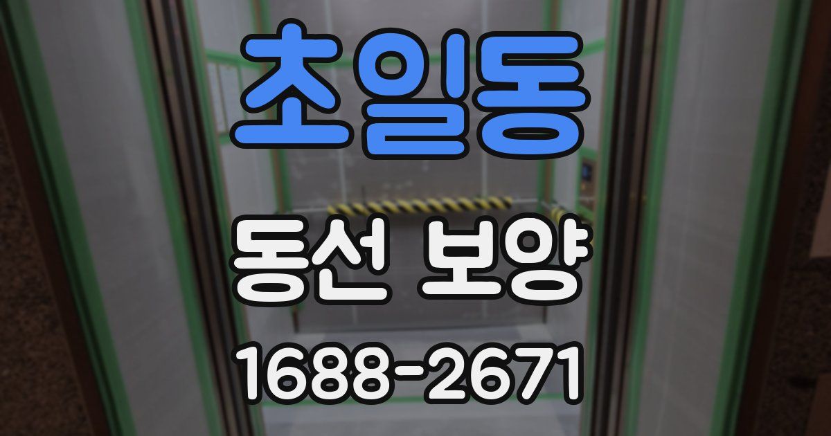 초일동 동선 보양
