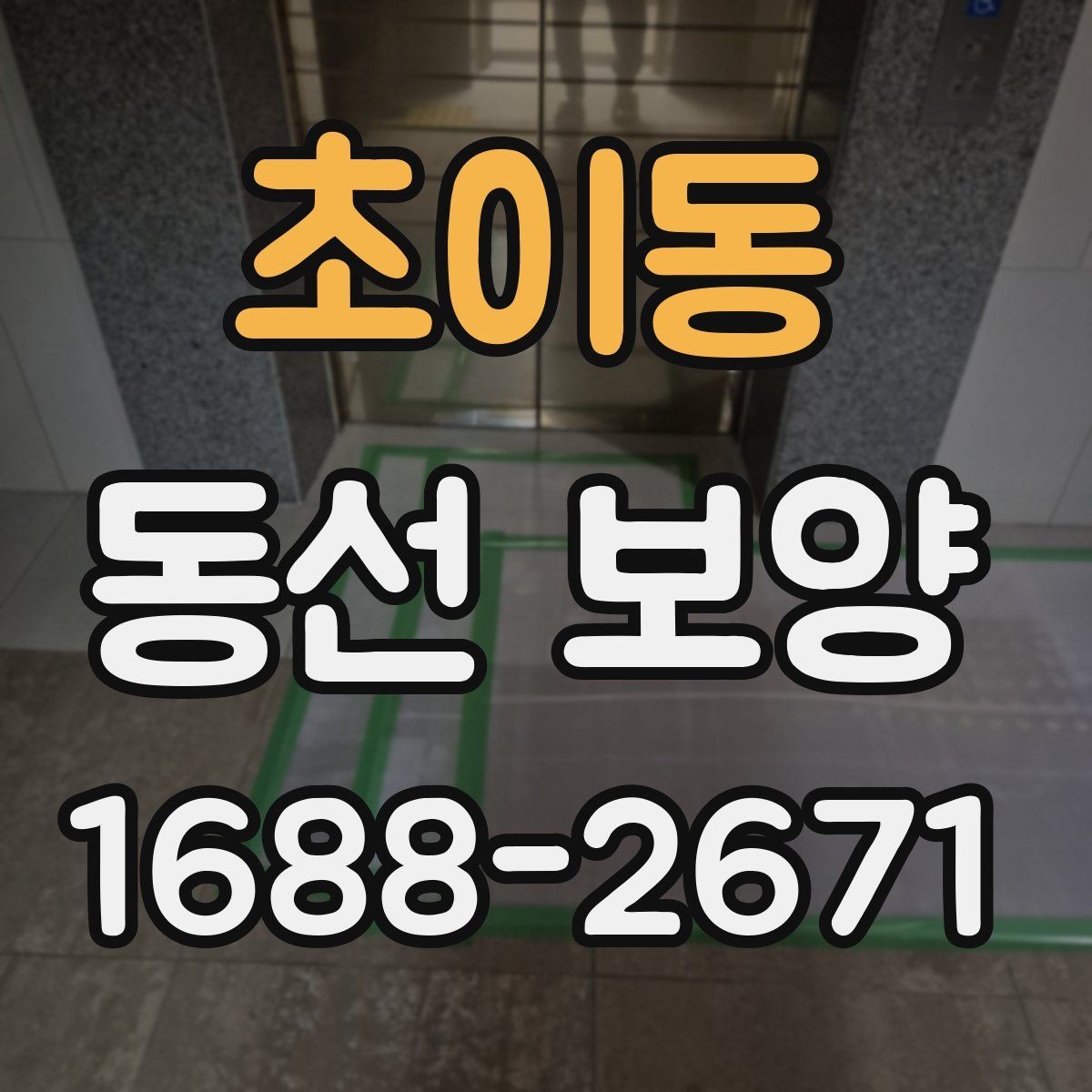 초이동 동선 보양 대상 구간을 정하는 기준