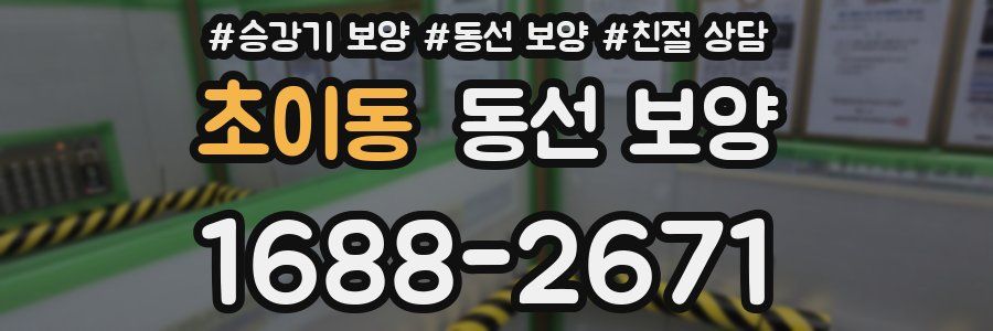 초이동 동선 보양