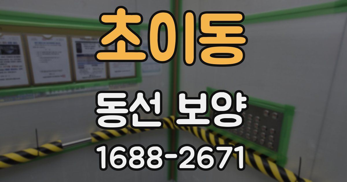 초이동 동선 보양