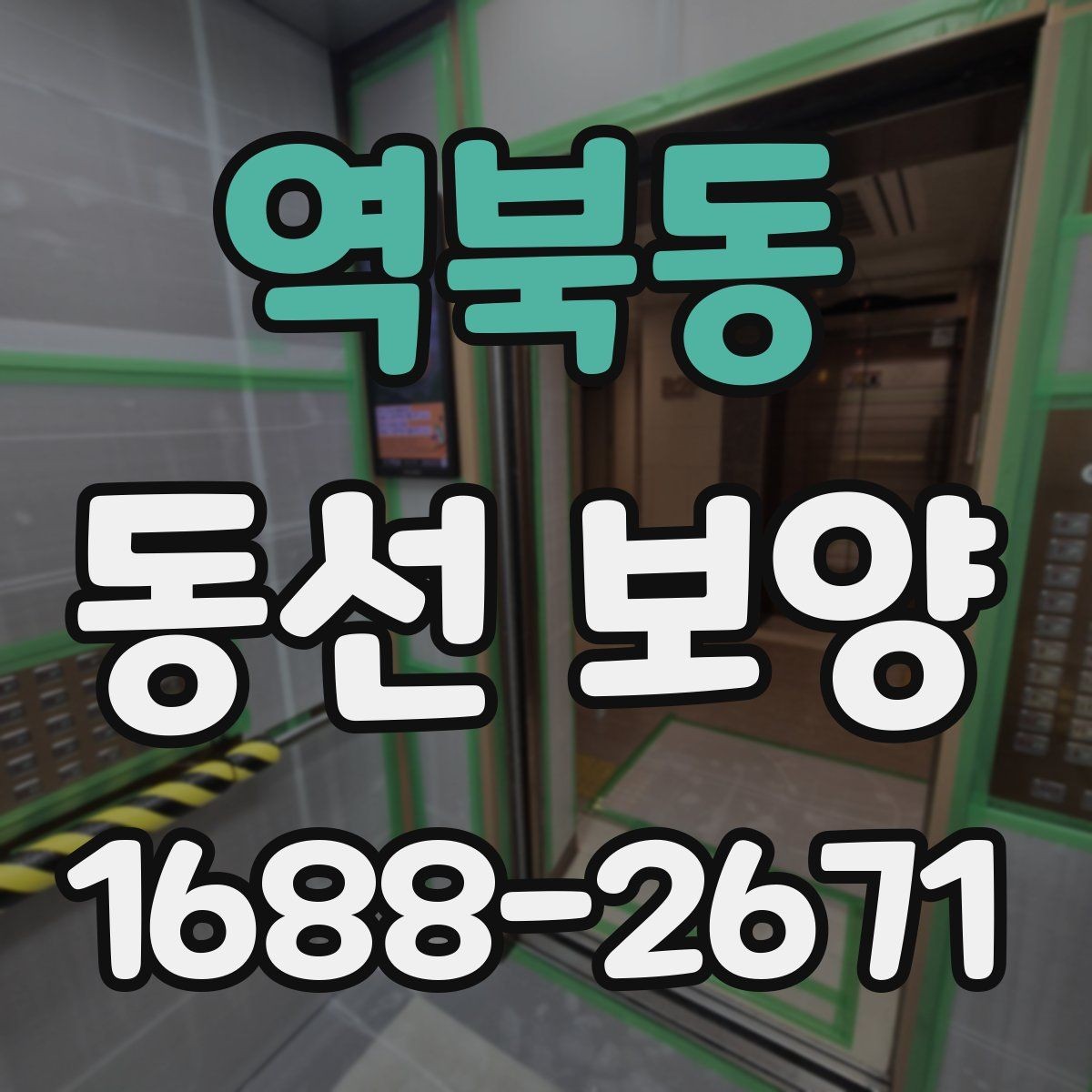 역북동 동선 보양 적용 범위를 정하는 기준