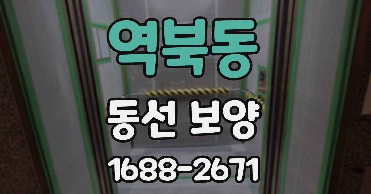 역북동 동선 보양