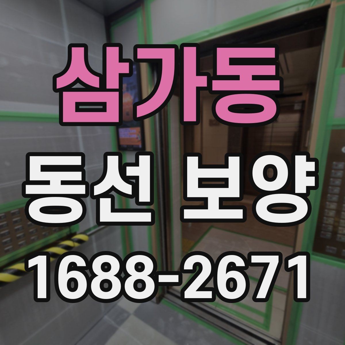 삼가동 동선 보양 비용은 무엇에 따라 달라질까