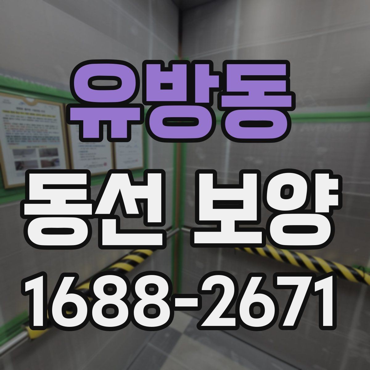 유방동 동선 보양 재료별 특징과 적용 상황