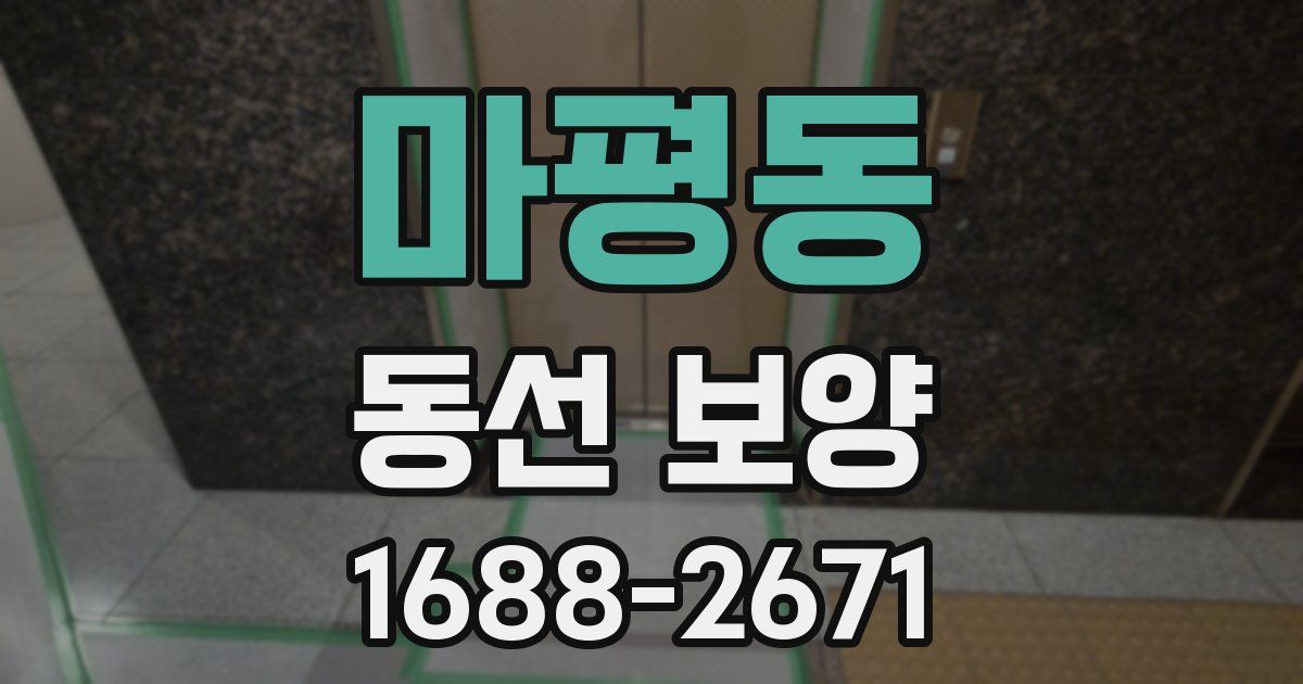마평동 동선 보양
