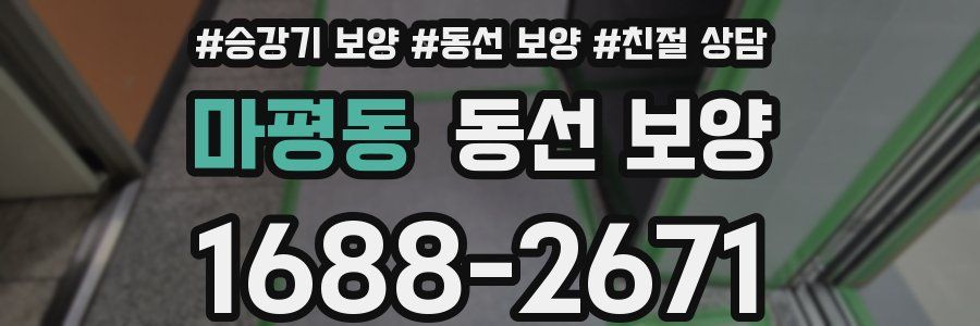 마평동 동선 보양