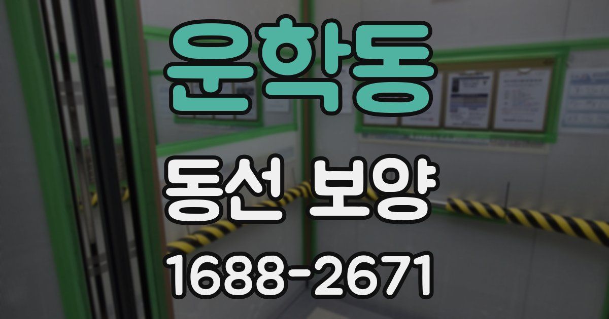 운학동 동선 보양