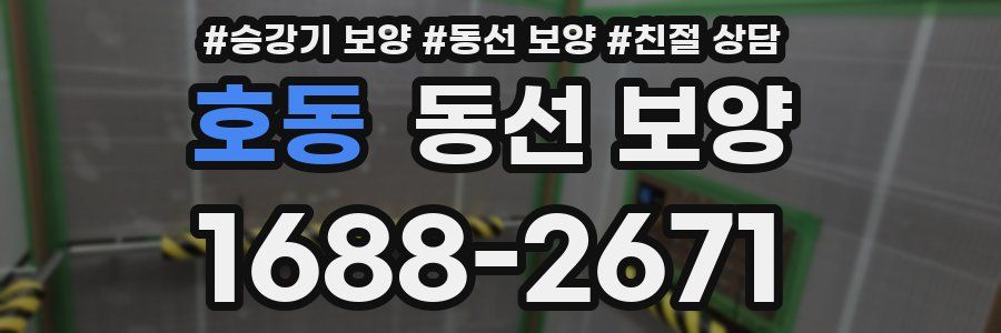 호동 동선 보양