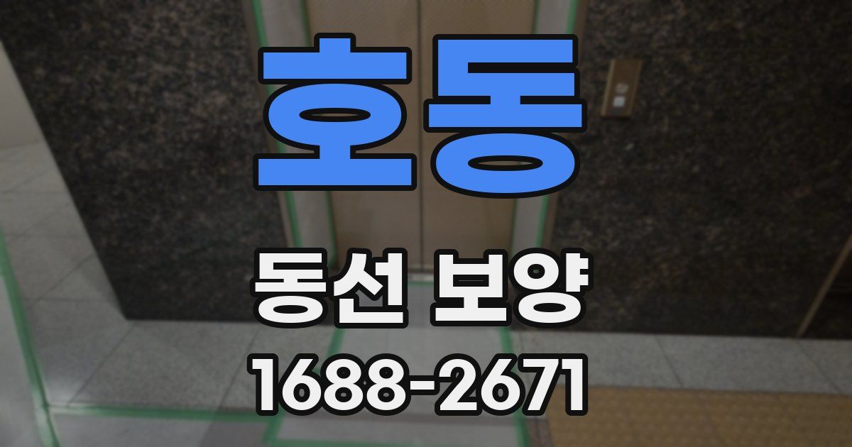 호동 동선 보양