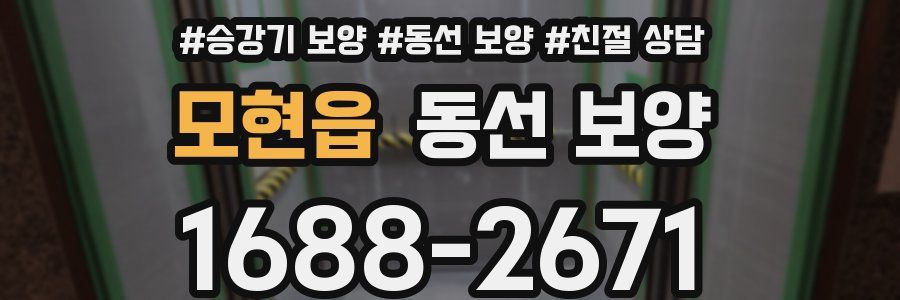 모현읍 동선 보양