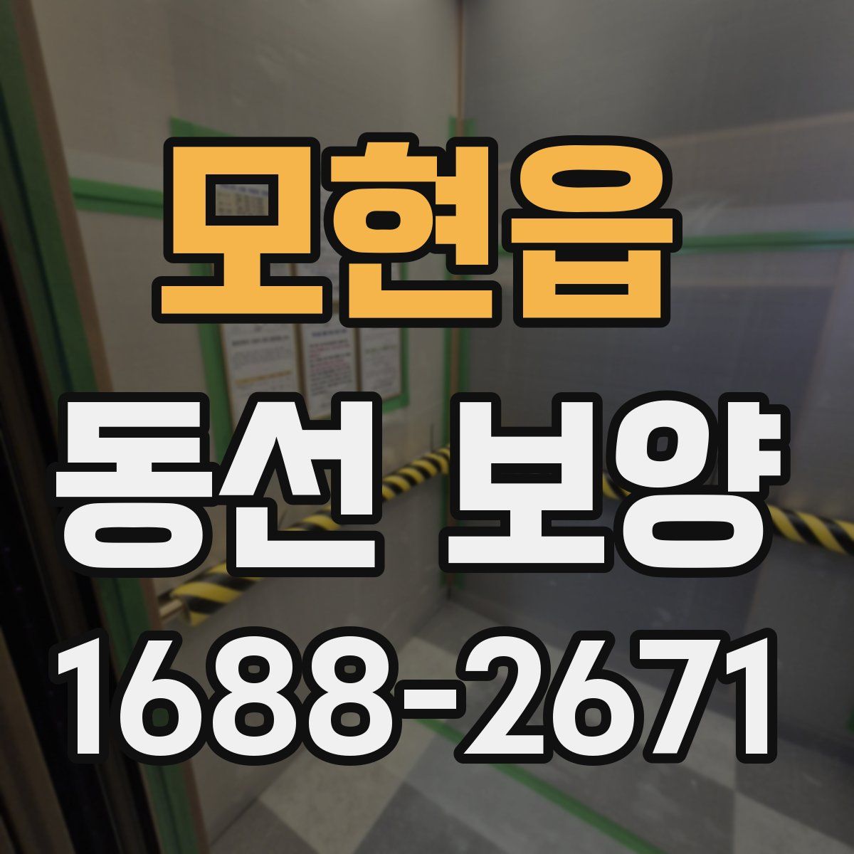 모현읍 동선 보양