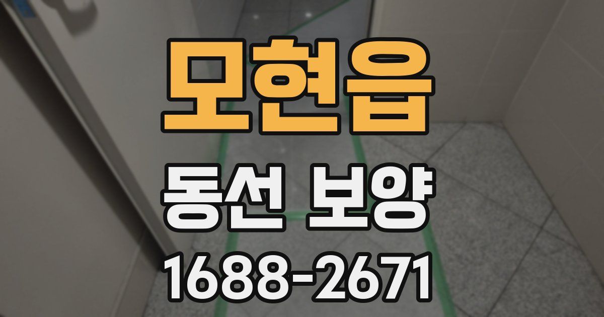 모현읍 동선 보양