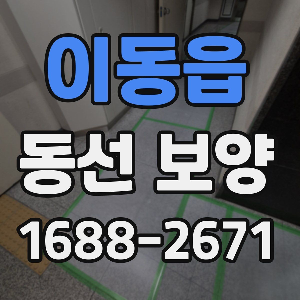 이동읍 동선 보양 작업 전 환경 정리와 준비 요령