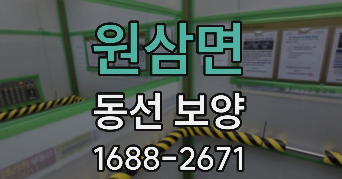 원삼면 동선 보양