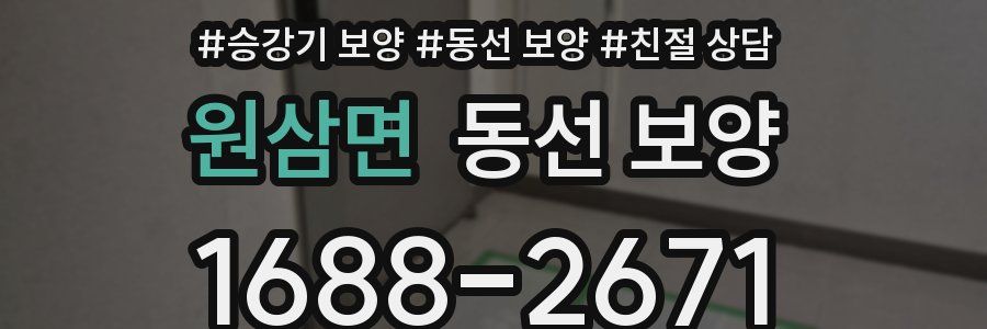 원삼면 동선 보양