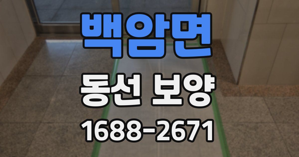 백암면 동선 보양