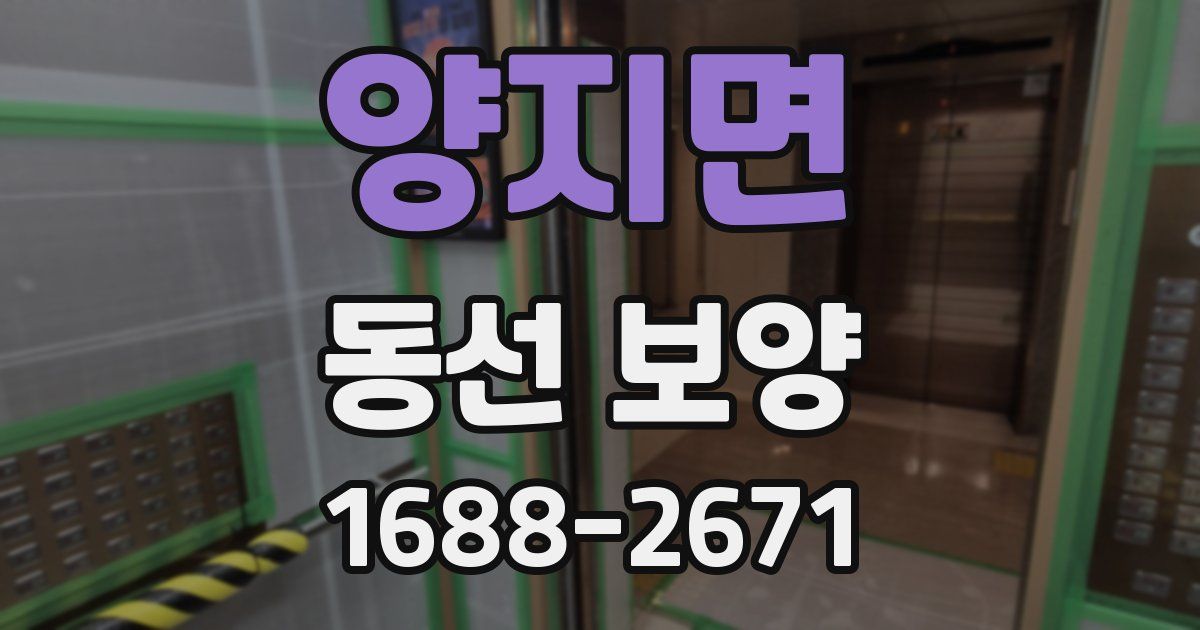 양지면 동선 보양