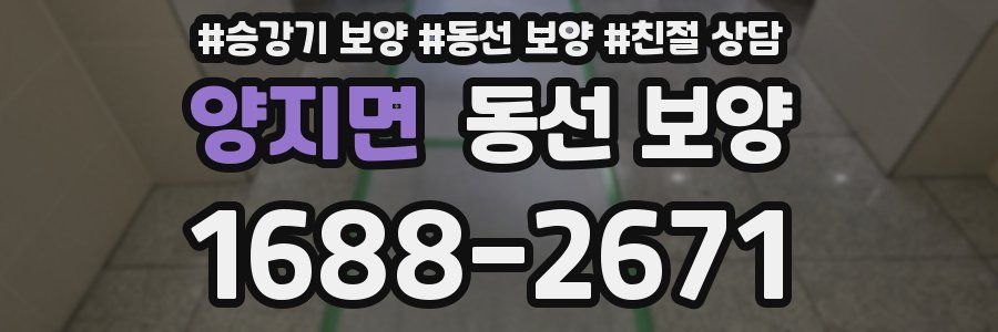 양지면 동선 보양