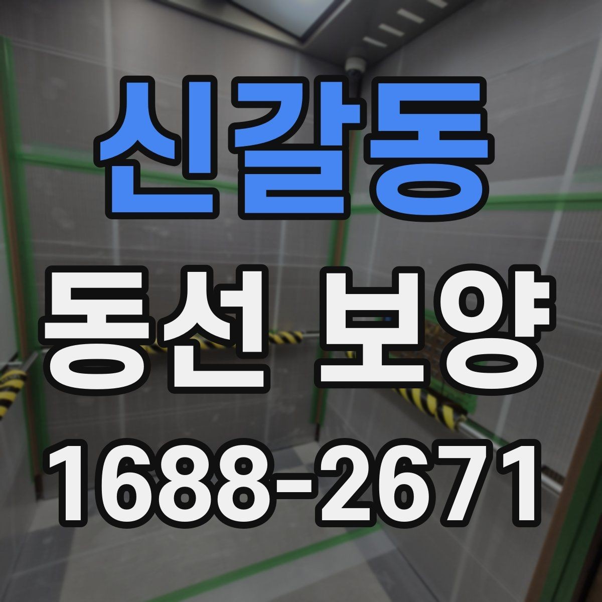 신갈동 동선 보양 비용 계산 전에 확인할 부분