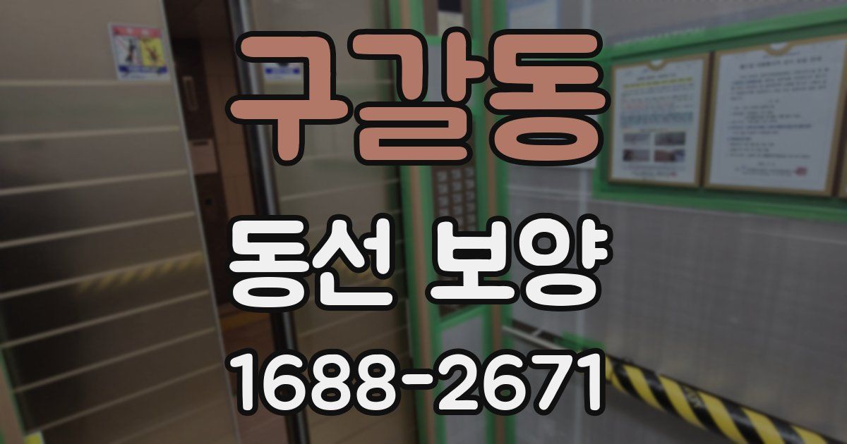 구갈동 동선 보양