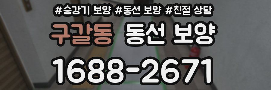 구갈동 동선 보양