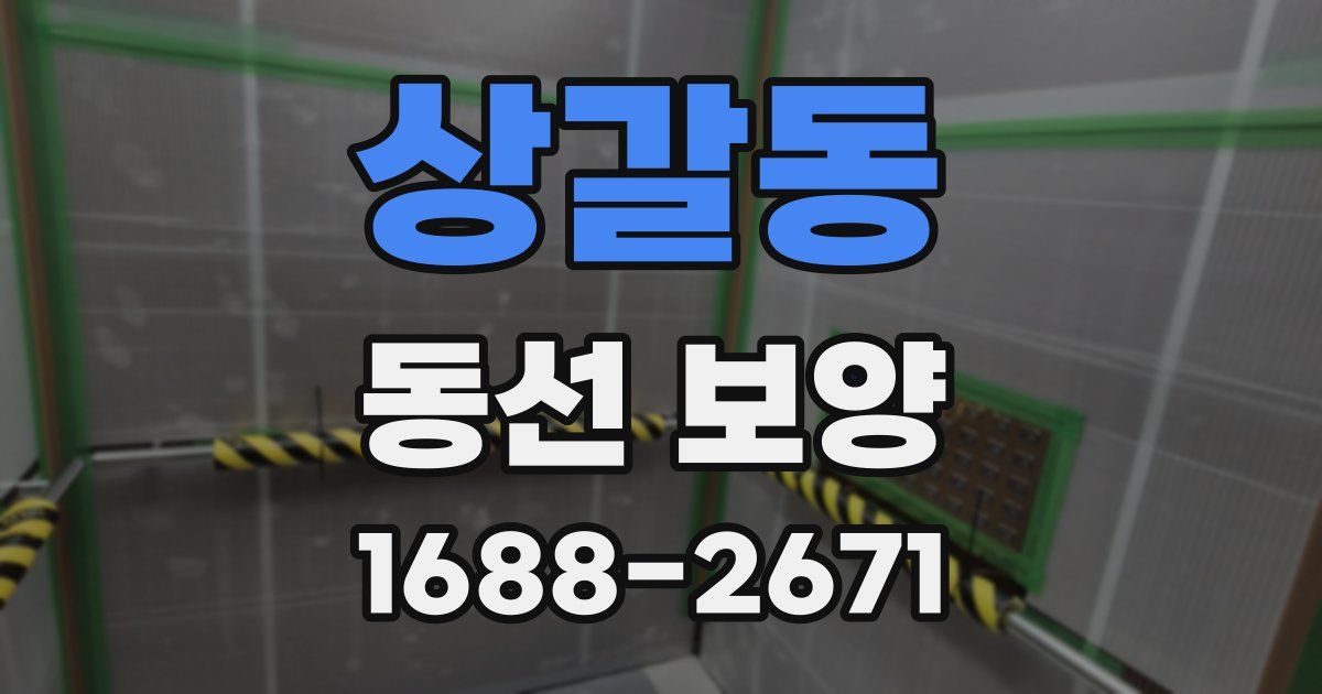 상갈동 동선 보양