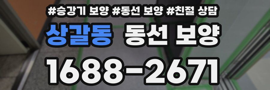 상갈동 동선 보양