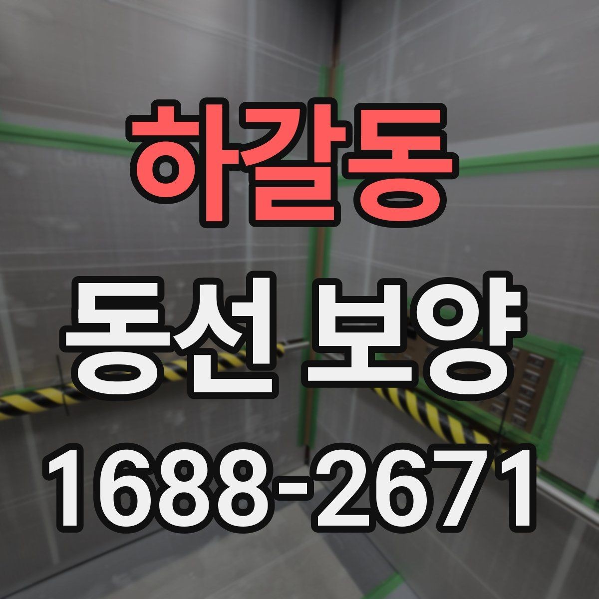 하갈동 동선 보양 작업 후 손상 예방을 위한 관리법