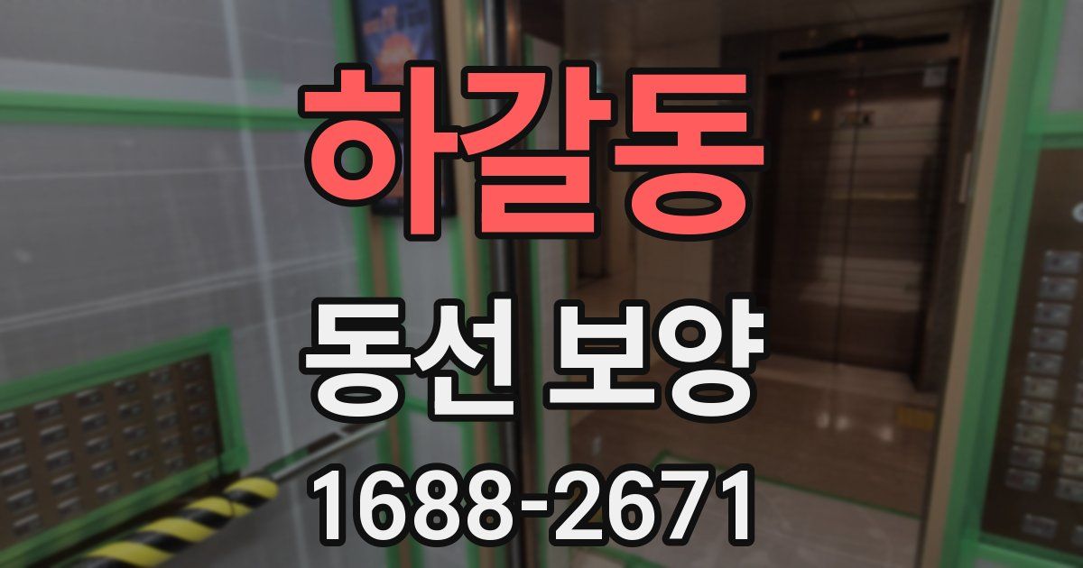하갈동 동선 보양