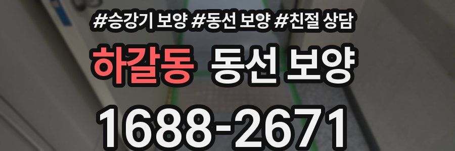 하갈동 동선 보양
