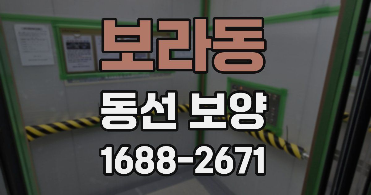 보라동 동선 보양