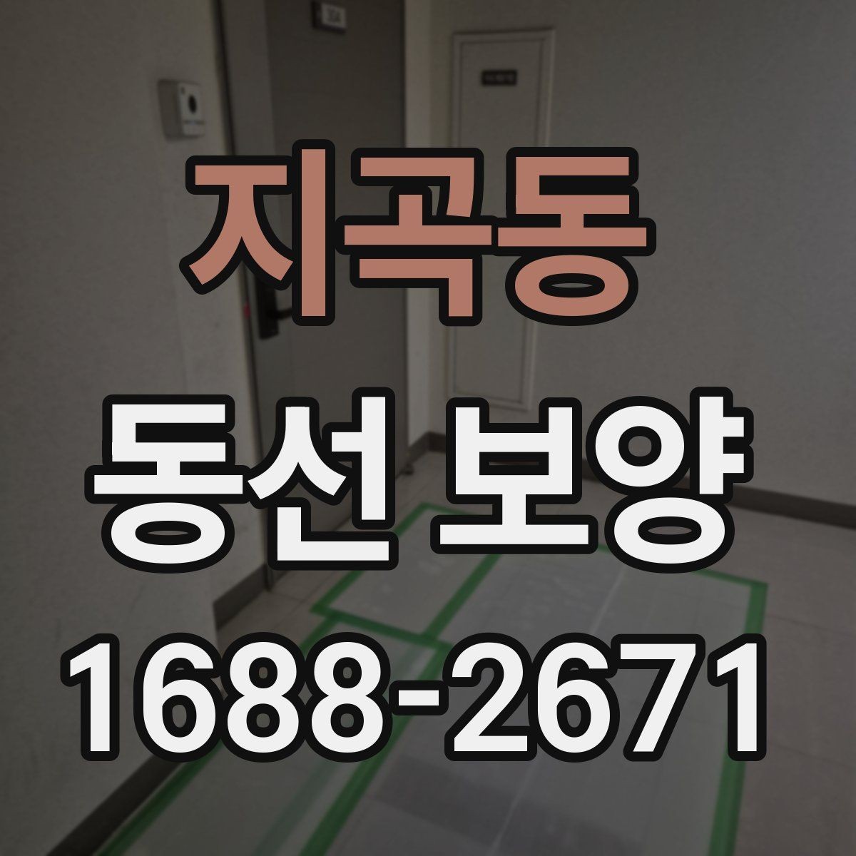 지곡동 동선 보양 계획 세울 때 고려할 조건