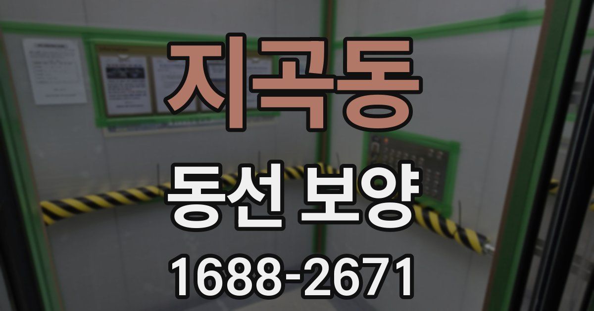 지곡동 동선 보양