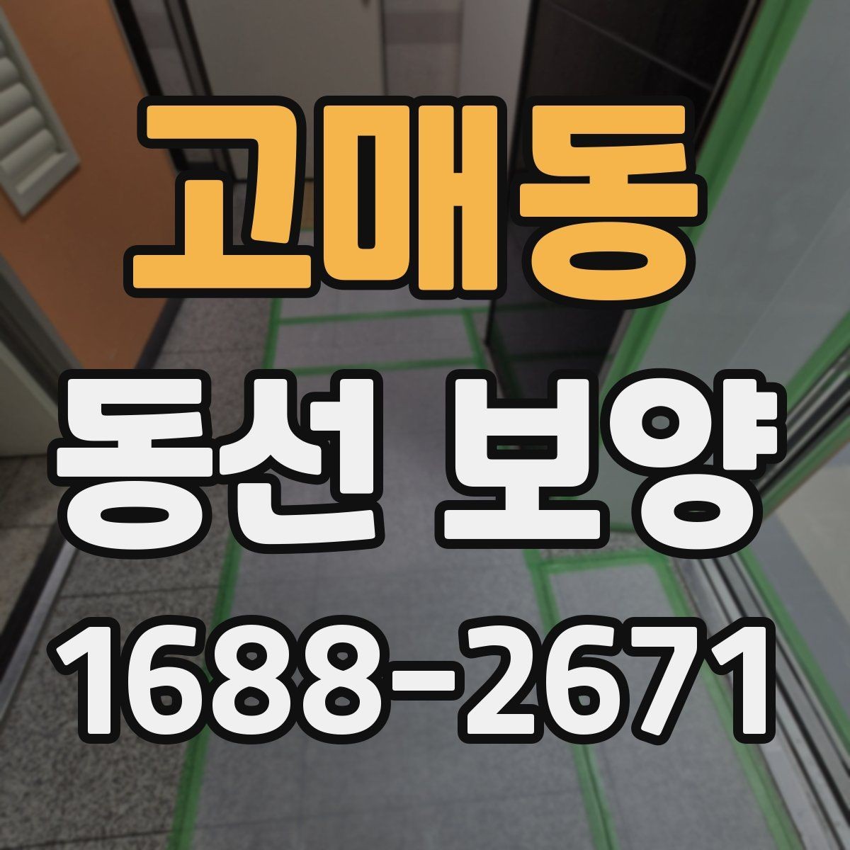 고매동 동선 보양 비용을 절감할 때 주의할 점