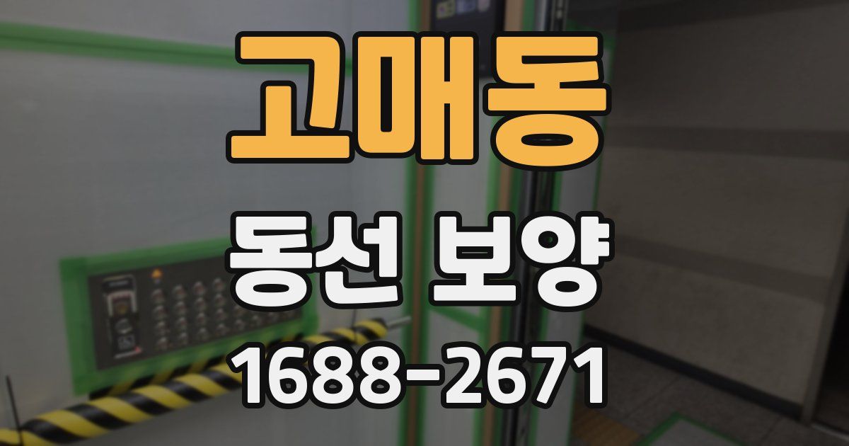 고매동 동선 보양