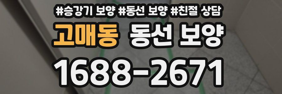 고매동 동선 보양