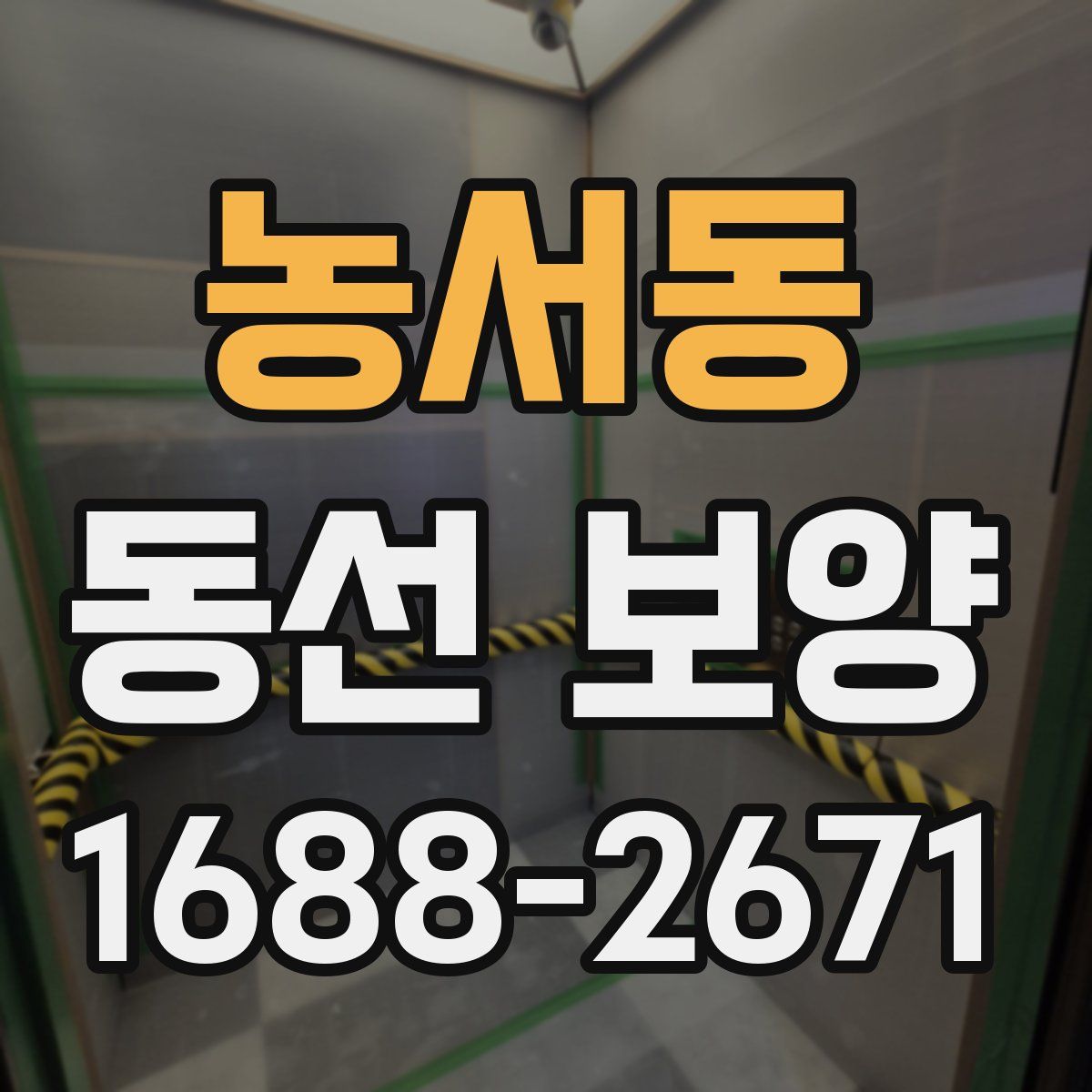 농서동 동선 보양