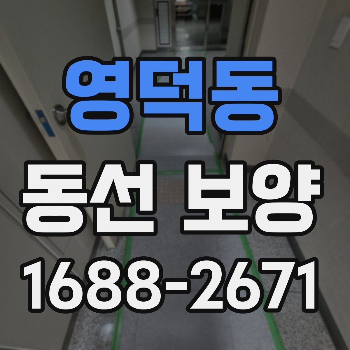 영덕동 동선 보양 작업 전후 비교로 보는 변화