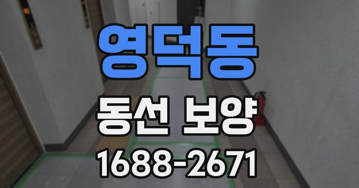 영덕동 동선 보양