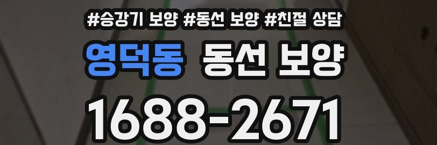 영덕동 동선 보양