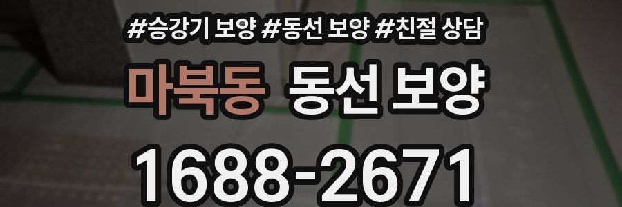 마북동 동선 보양
